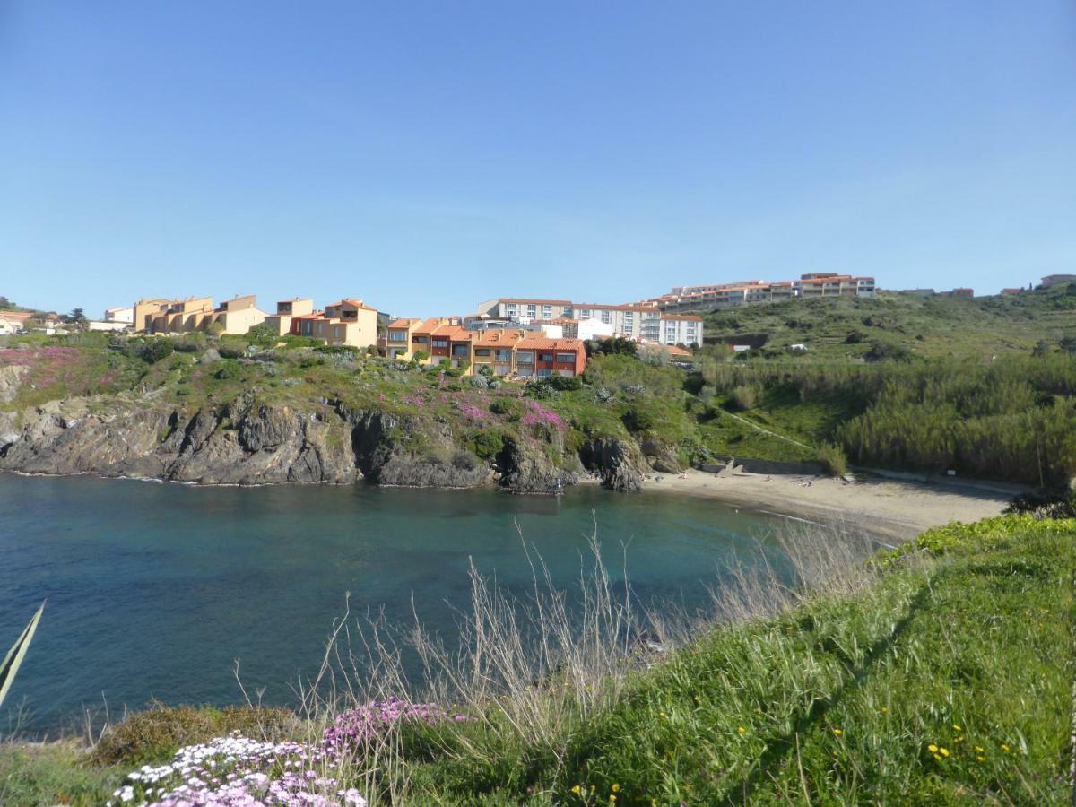 Appartement Les Roches Bleues - 4Rb67 Collioure Esterno foto